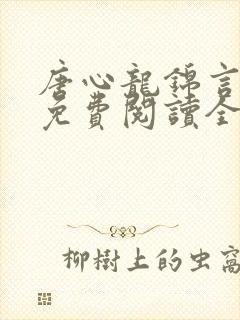 唐心龙锦言小说免费阅读全文