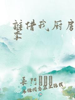 谁借我厨房第三季