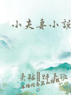 小夫妻小说