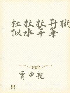 杜拉拉升职记之似水年华