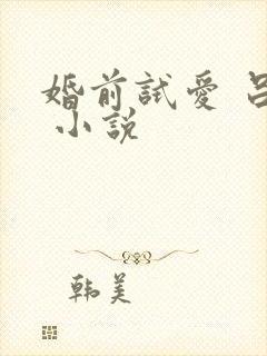 婚前试爱 吕颜 小说