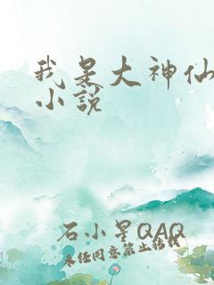 我是大神仙时江小说