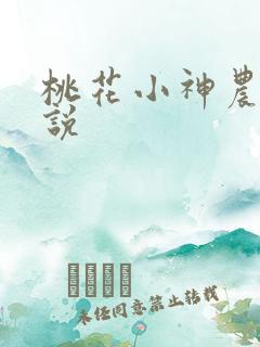 桃花小神农 小说