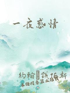 一夜惑情