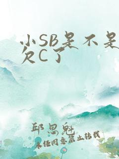 小SB是不是又欠C了
