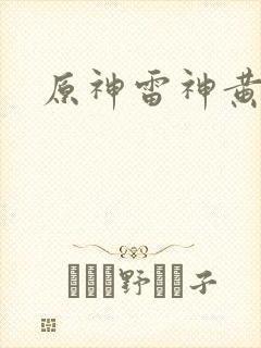 原神雷神黄本本