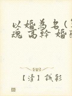 以婚为名 (军魂 高干 婚恋)