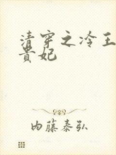 清穿之冷王的皇贵妃