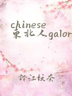 chinese东北人galore