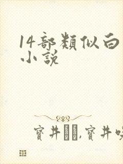 14部类似白洁小说
