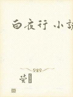 白夜行 小说