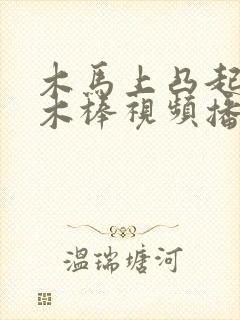 木马上凸起电动木棒视频播放