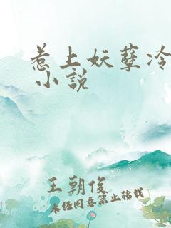 惹上妖孽冷殿下 小说