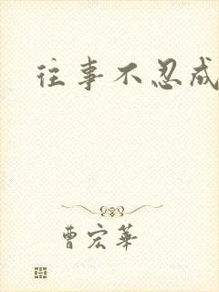 往事不忍成历史