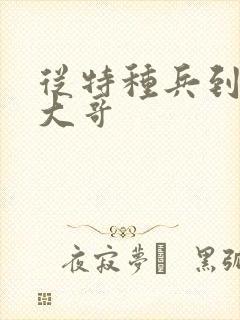 从特种兵到黑道大哥