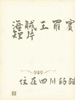 海贼王罗宾被h短片