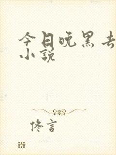 今日晚黑去见你小说