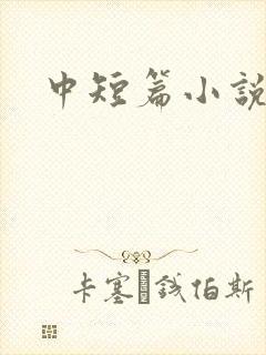 中短篇小说集