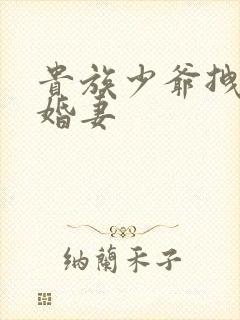 贵族少爷拽拽未婚妻