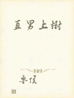 直男上树