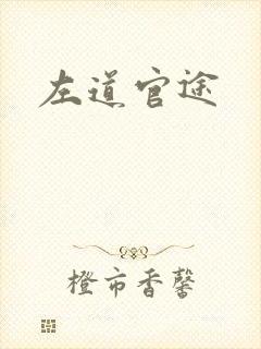 左道官途