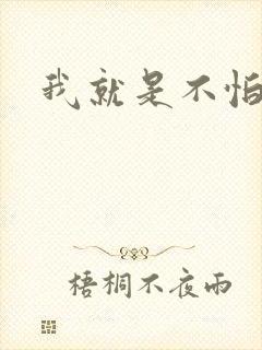 我就是不怕小说