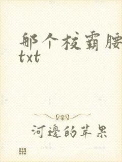 那个校霸腰好软txt