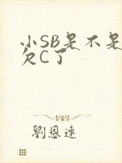 小SB是不是又欠C了