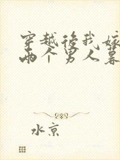 穿越后我嫁给了两个男人暮色酒歌