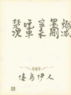 楚晚宁墨燃第一次车未删减