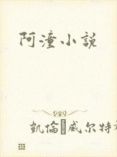 阿潼小说