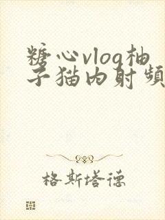 糖心vlog柚子猫内射频