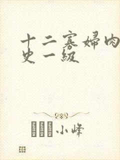 十二寡妇肉床艳史一级