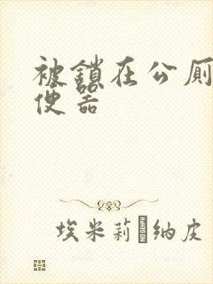 被锁在公厕当坐便器