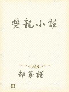 双龙小说