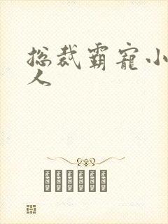 总裁霸宠小小女人