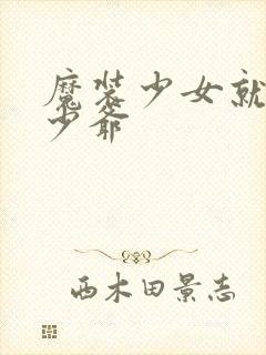 魔装少女就是本少爷