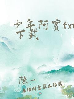 少年阿宾txt 下载