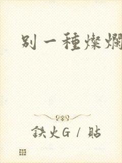 别一种灿烂生活