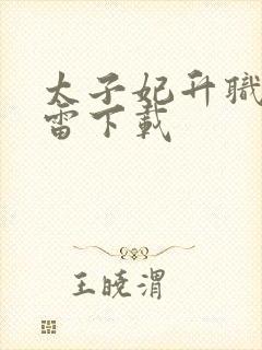 太子妃升职记迅雷下载