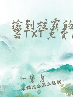 捡到校霸的遥控器TXT免费阅读