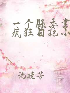 一个县委书记的疯狂日记小说