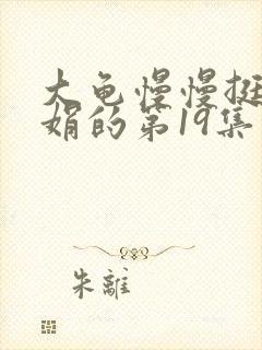 大龟慢慢挺进张娟的第19集