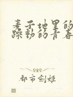 麦子地里的故事躁动的青春小说