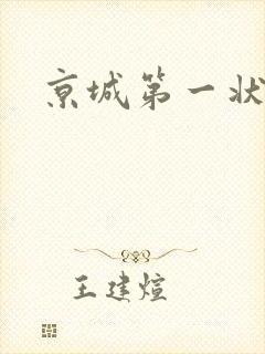京城第一状师