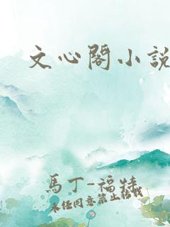 文心阁小说