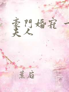 豪门婚宠 一品夫人