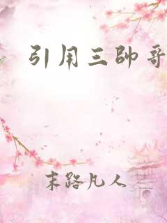 引用三帅哥