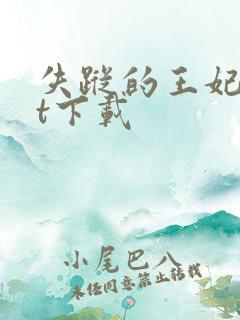 失踪的王妃txt下载