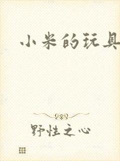 小米的玩具日记